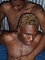 Ebony Stallions
